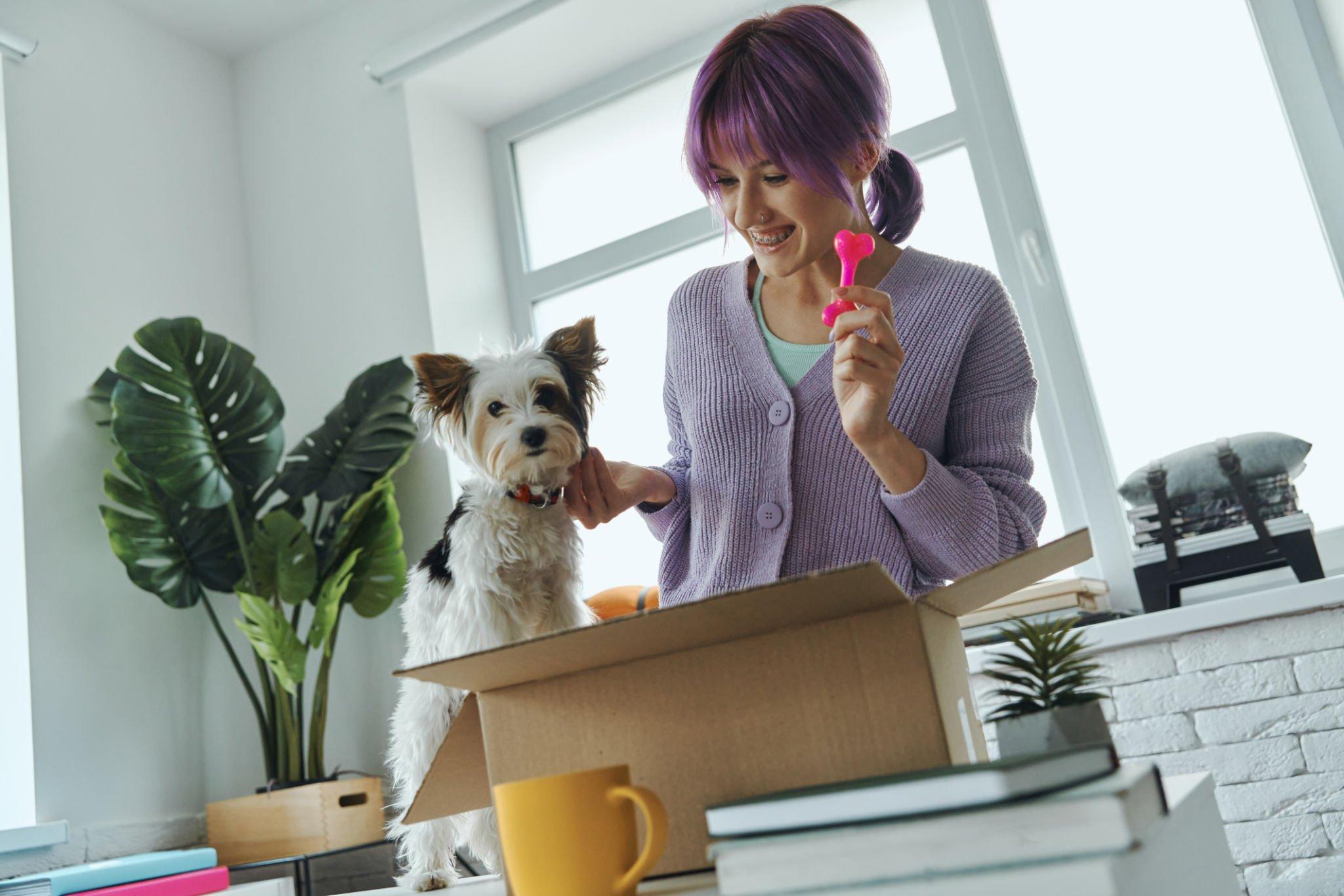 A person in a cozy room holds a pink dog toy while a small, fluffy dog stands on a cardboard box beside them. Green plants and books are visible.