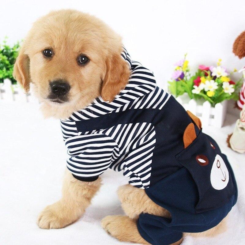 Dog Winter