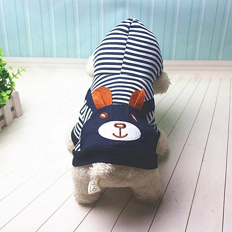 Dog Winter