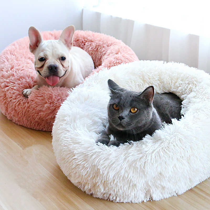 Donut Pet
