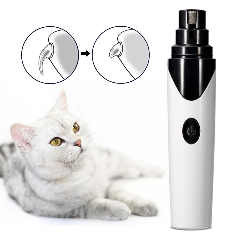 Painless Pet