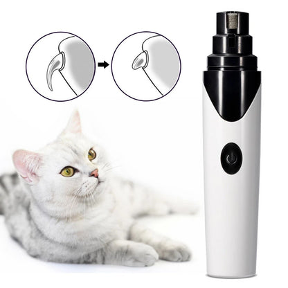Painless Pet